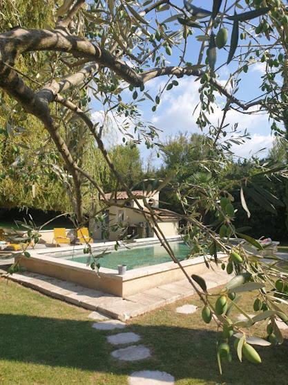 Bed and Breakfast Mas Des Muses LʼIsle-sur-la-Sorgue Esterno foto